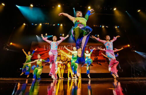 Acrobatic Show