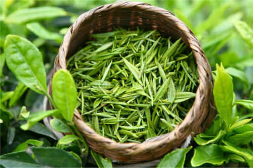 Chinese Tea