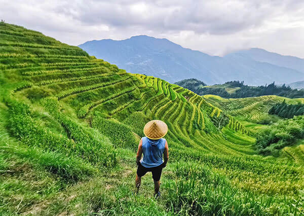 Longji Terraces