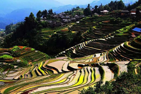 Guizhou Jiabang Terraces