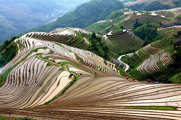 Jiangling Terraces