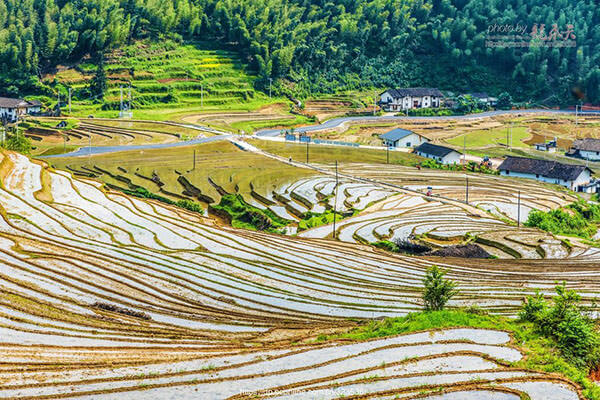 Shangbao Terraces