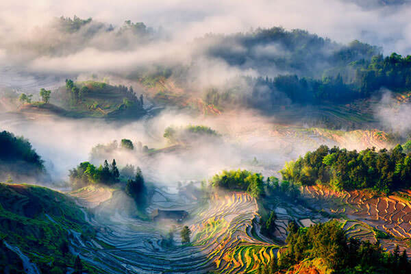 Ziquejie Terraces in Hunan