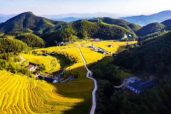 Danzhai Yaobao Terraces