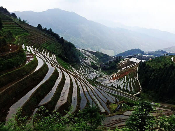 Gaokan Terraces