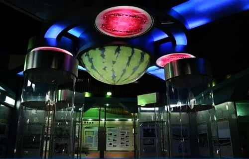 Watermelon Museum