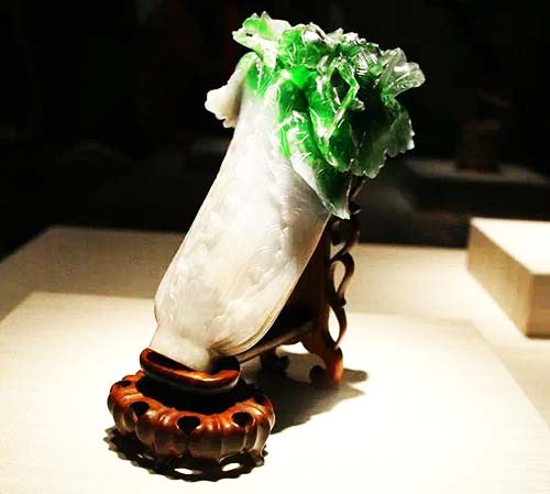 Green Jade Cabbage