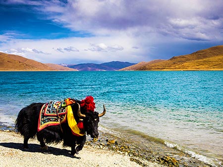 Yamdrok Lake