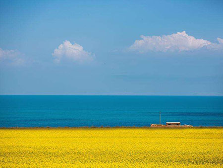 Qinghai Lake