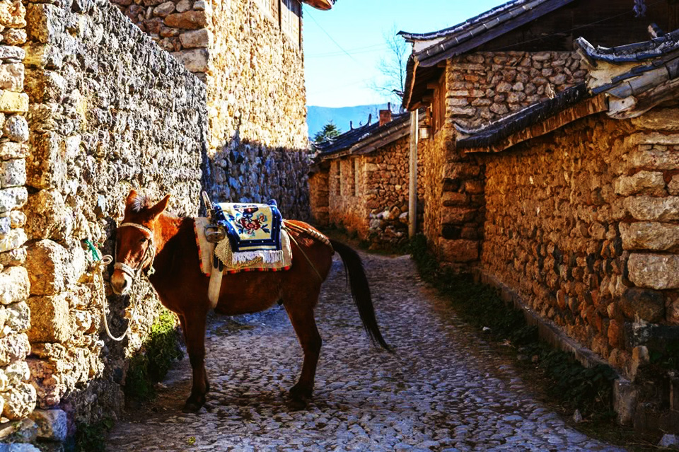 Yuhu Village Horse