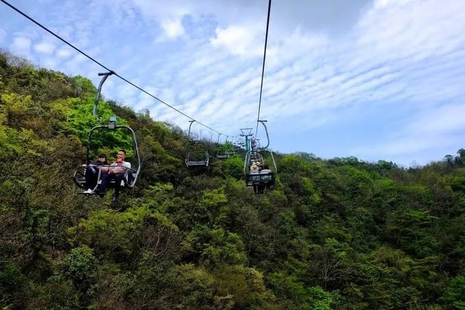 Forest Sightseeing Cable Car