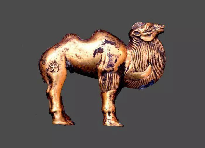 Golden Camel