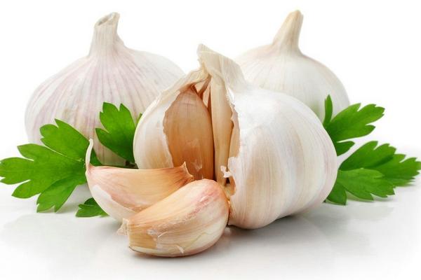 Garlic