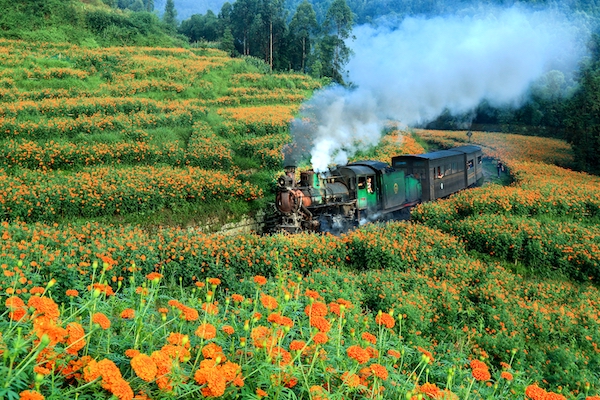 Sichuan Jiayang Railway