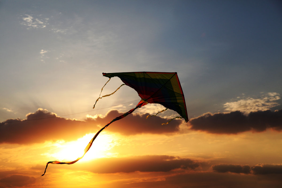Fly Kite