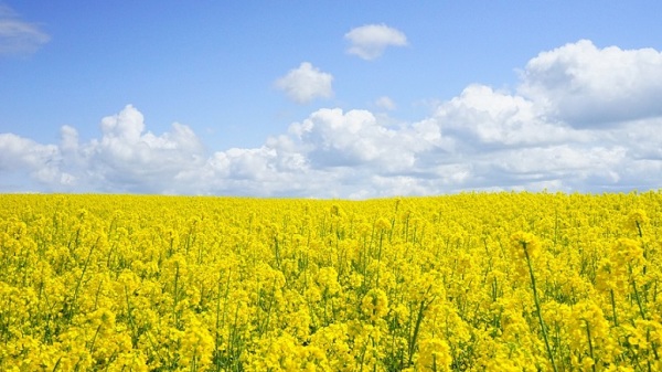 Spring Equinox