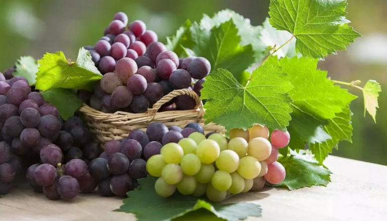 Eat Grapes