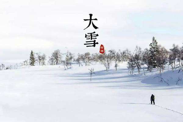 Major Snow Major Snow