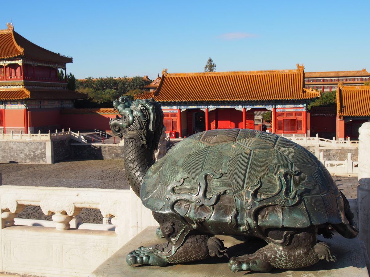 Divine Turtle