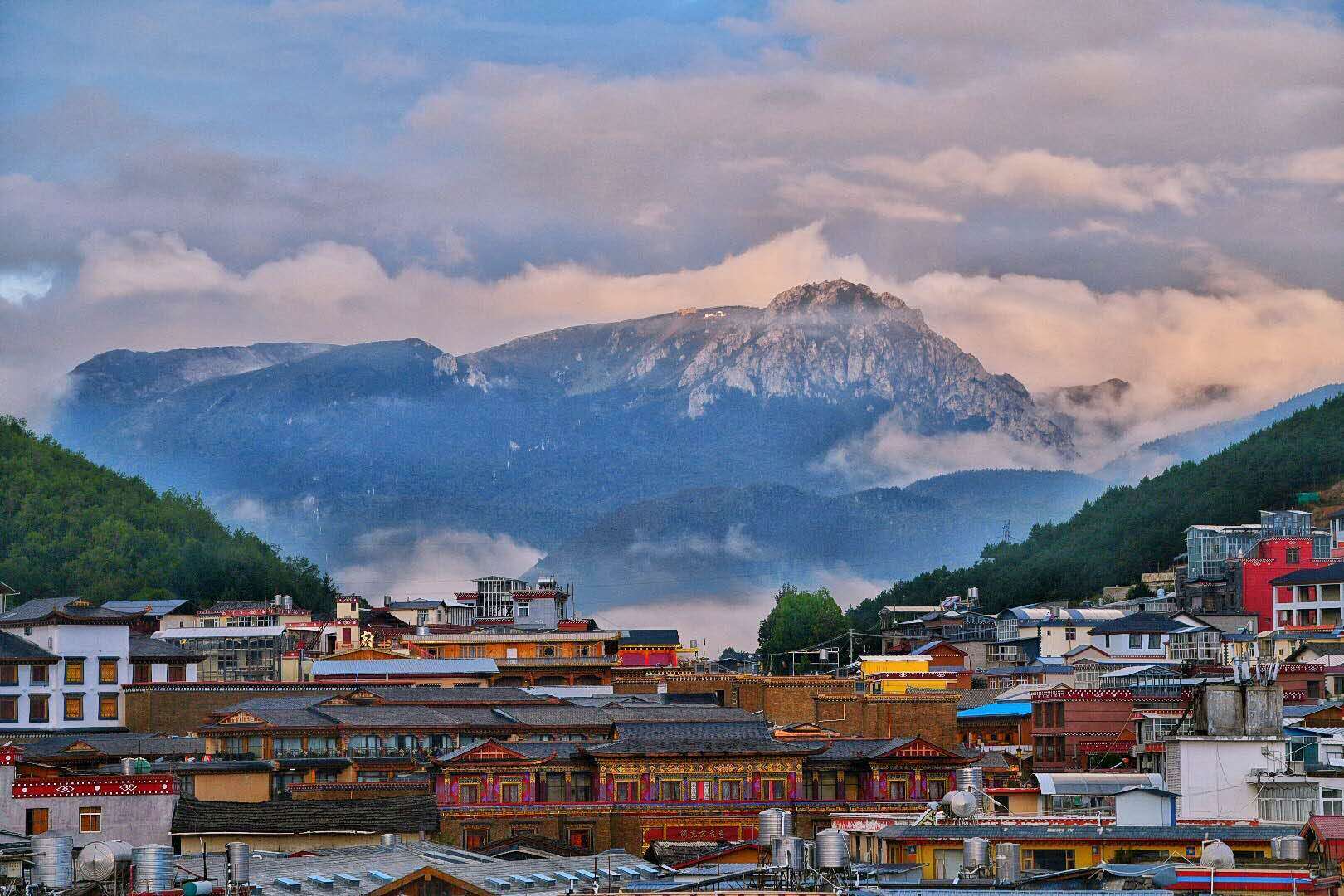 Shangeri-la Shangeri-la
