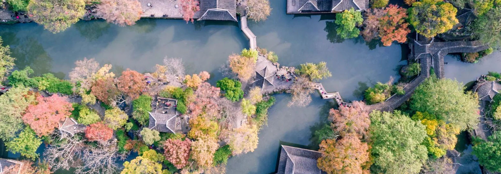 Humble Administrator's Garden