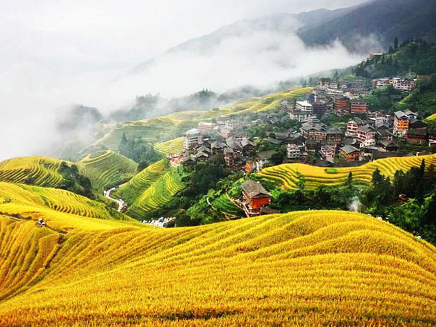 Longji Terraces