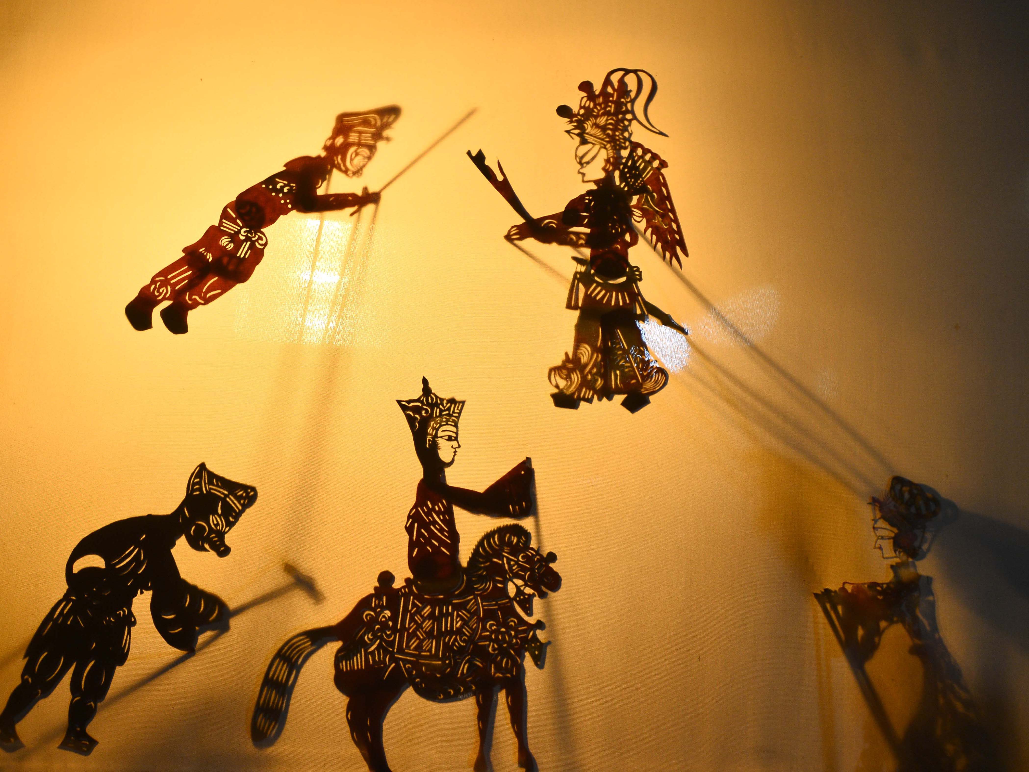 Shadow Play Show
