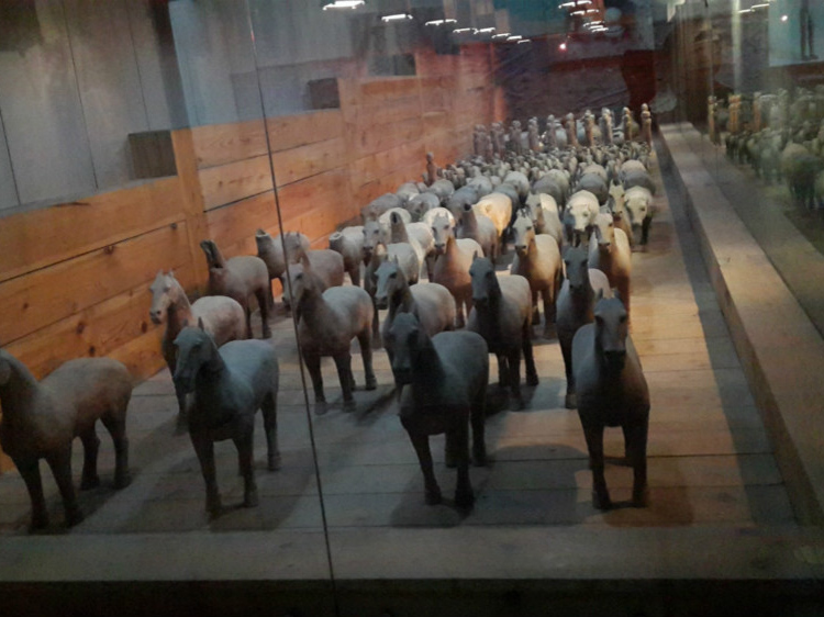 Clay Horses in the museum