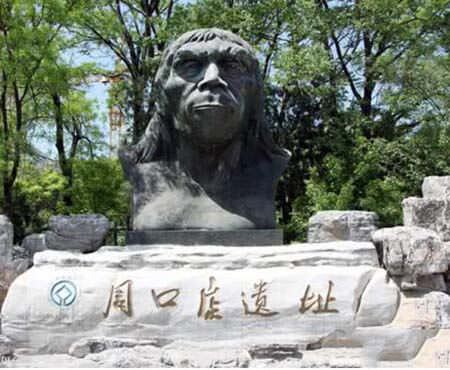 Beijing Man