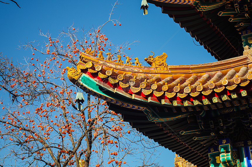 Lama Temple