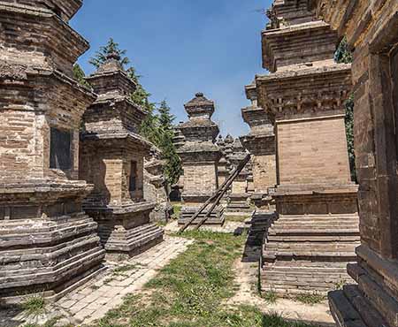 Pagoda Forest