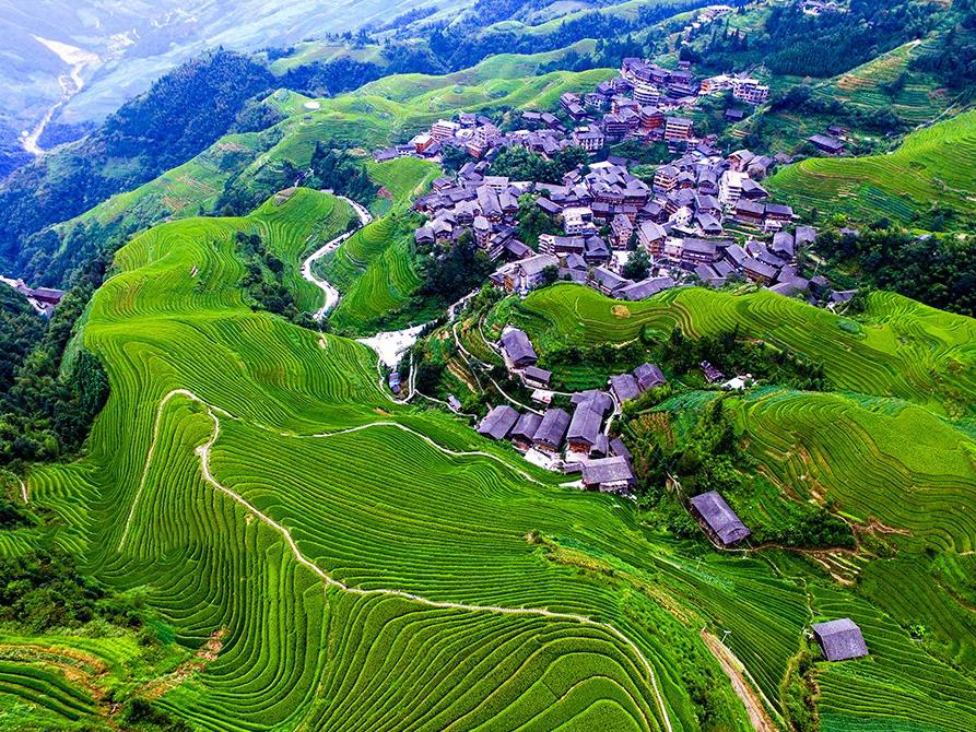Longji Terraces