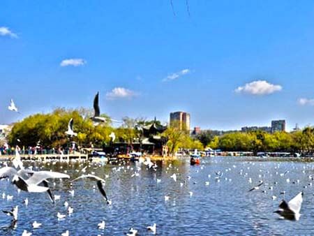 Green Lake