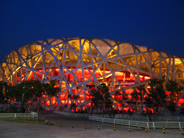 Bird Nest