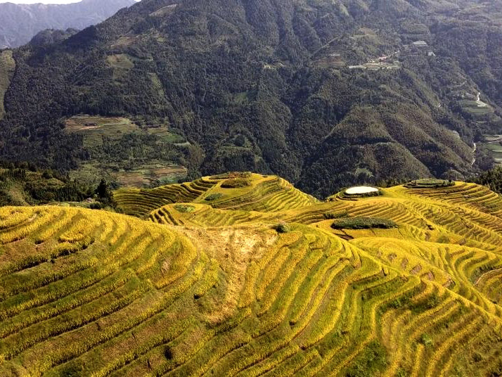 Guilin Rice Terraces