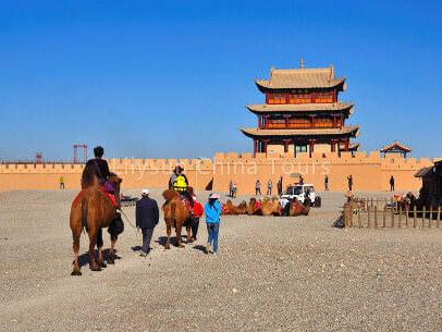 Camel Riding