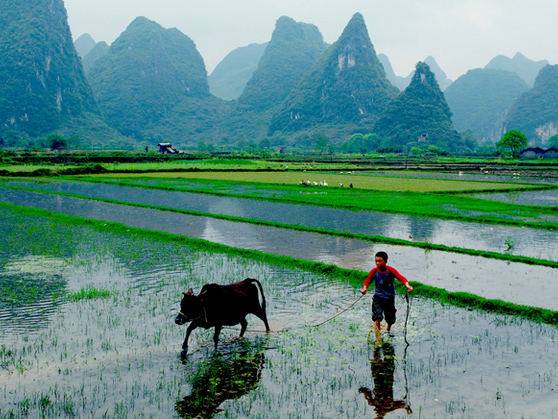 Yangshuo Countryside