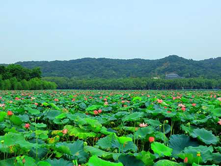 West Lake