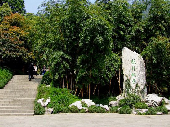Longjing Tea Village